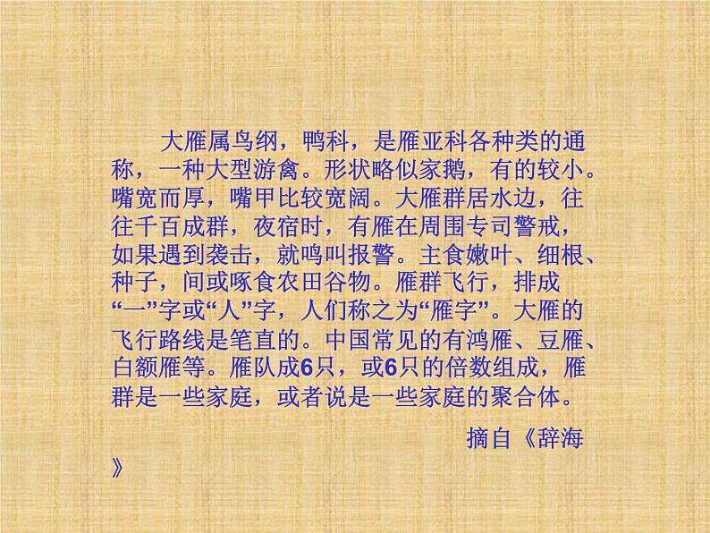 八年级下册语文课件《大雁归来》  人教版（2016部编版） (1)第6页