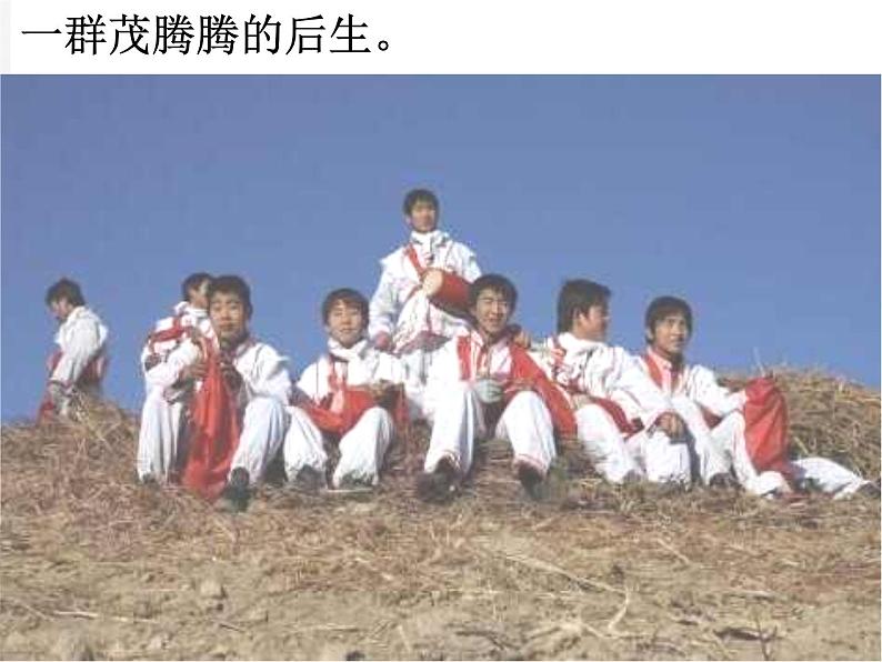 八年级下册语文课件《安塞腰鼓》  人教版（2016部编版） (3)第6页