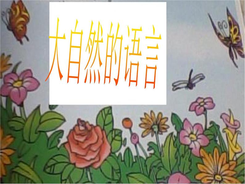 八年级下册语文课件《大自然的语言》  人教版（2016部编版） (9)01