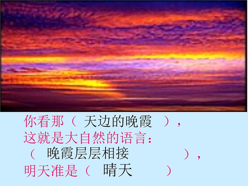 八年级下册语文课件《大自然的语言》  人教版（2016部编版） (9)04