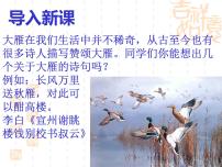 初中人教部编版7*大雁归来优秀课件ppt