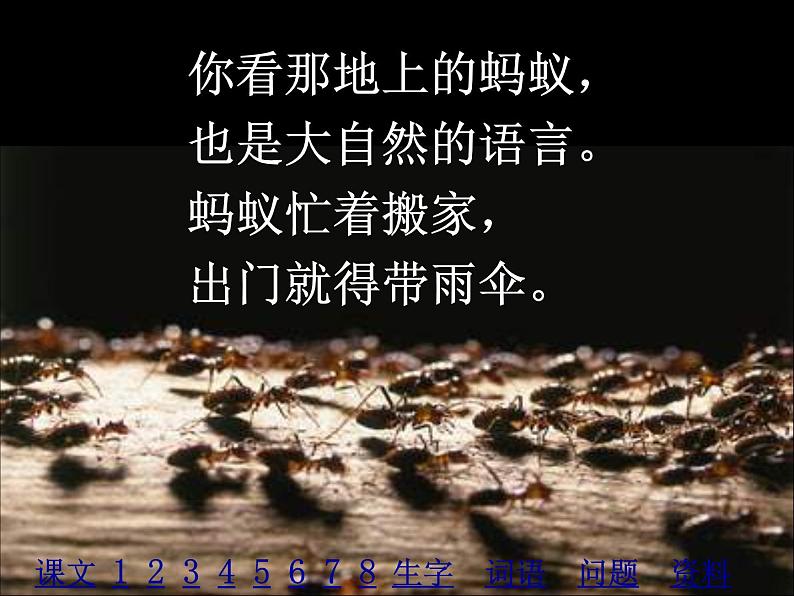 八年级下册语文课件《大自然的语言》  人教版（2016部编版） (7)第4页