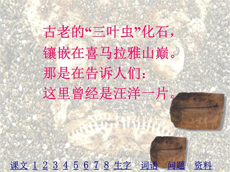 八年级下册语文课件《大自然的语言》  人教版（2016部编版） (7)第8页