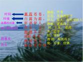 八年级下册语文课件《诗经二首 蒹葭》  人教版（2016部编版） (1)