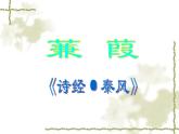 八年级下册语文课件《诗经二首 蒹葭》  人教版（2016部编版） (7)