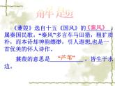 八年级下册语文课件《诗经二首 蒹葭》  人教版（2016部编版） (7)