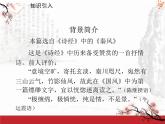 八年级下册语文课件《诗经二首 蒹葭》  人教版（2016部编版） (6)