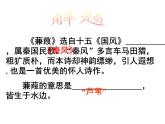 八年级下册语文课件《诗经二首 蒹葭》  人教版（2016部编版） (3)