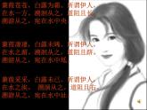 八年级下册语文课件《诗经二首 蒹葭》  人教版（2016部编版） (5)