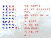 八年级下册语文课件《诗经二首 蒹葭》  人教版（2016部编版） (5)