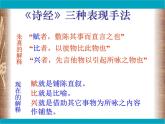 八年级下册语文课件《诗经二首 蒹葭》  人教版（2016部编版） (4)