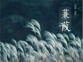 八年级下册语文课件《诗经二首 蒹葭》  人教版（2016部编版） (9)