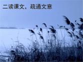 八年级下册语文课件《诗经二首 蒹葭》  人教版（2016部编版） (9)