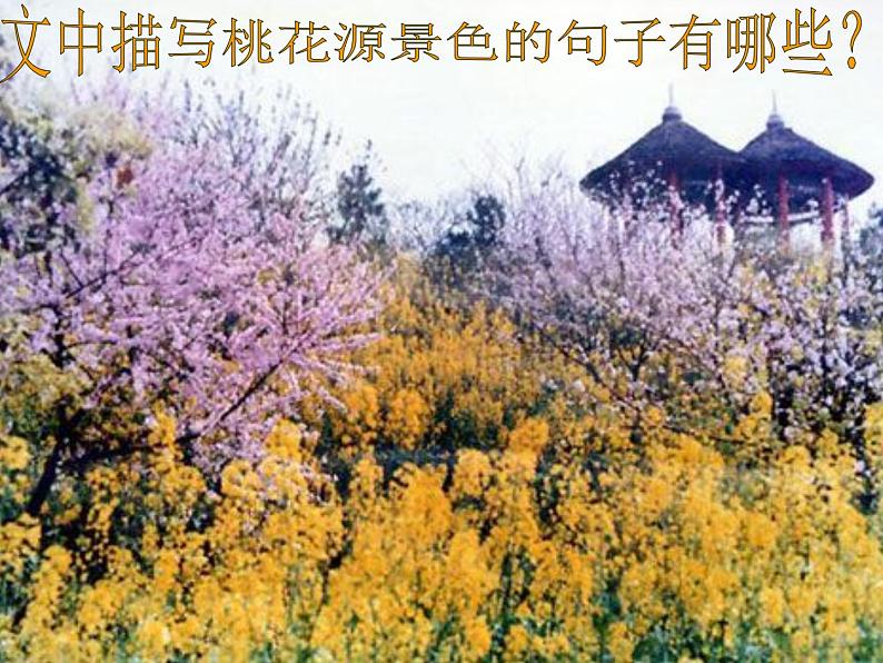 八年级下册语文课件《桃花源记》  人教版（2016部编版） (3)第6页