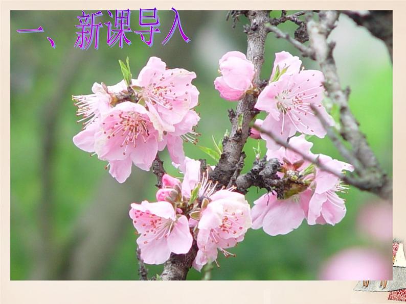 八年级下册语文课件《桃花源记》  人教版（2016部编版） (4)第2页