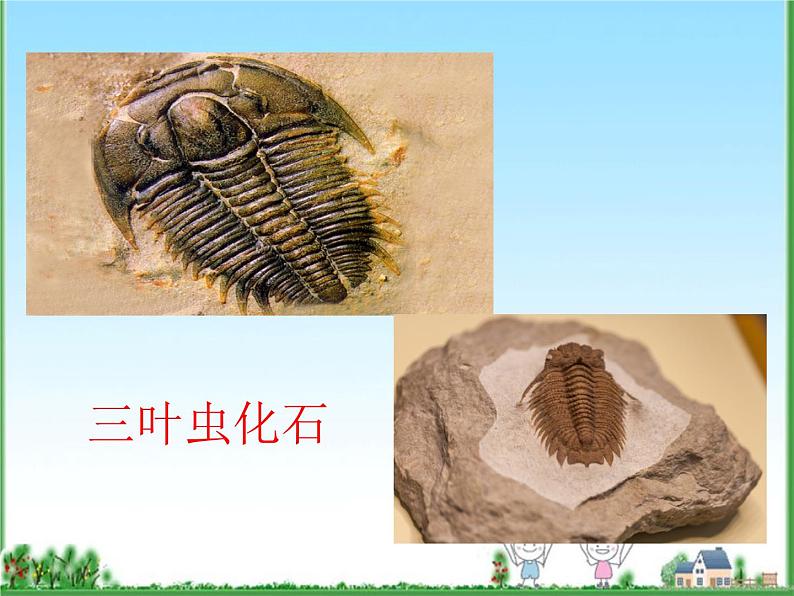 八年级下册语文课件《时间的脚印》  人教版（2016部编版） (3)04