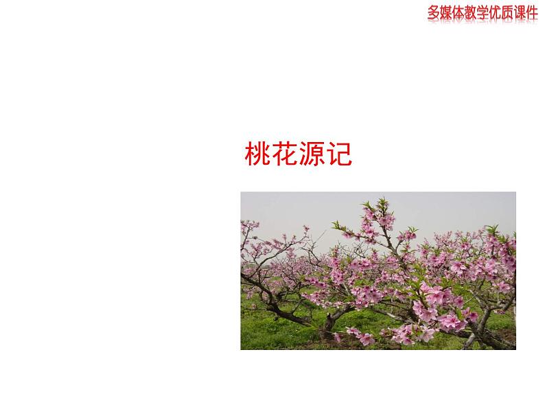 八年级下册语文课件《桃花源记》  人教版（2016部编版） (8)第1页