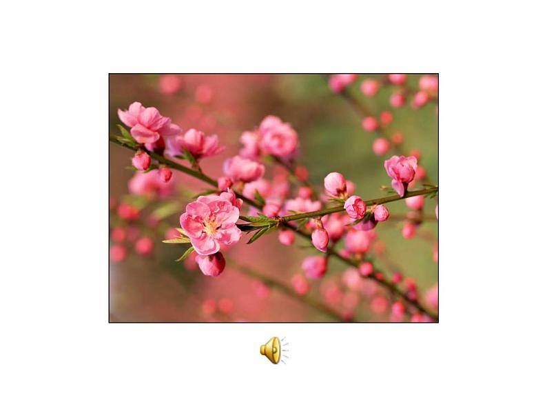 八年级下册语文课件《桃花源记》  人教版（2016部编版） (8)第5页