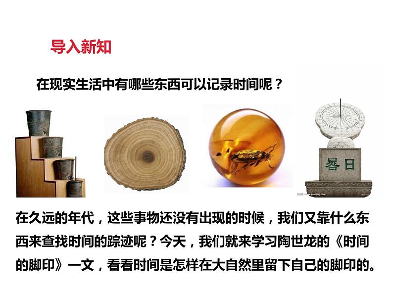 八年级下册语文课件《时间的脚印》  人教版（2016部编版） (2)03