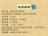 八年级下册语文课件《庆祝奥林匹克运动复兴25周年》  人教版（2016部编版） (7)
