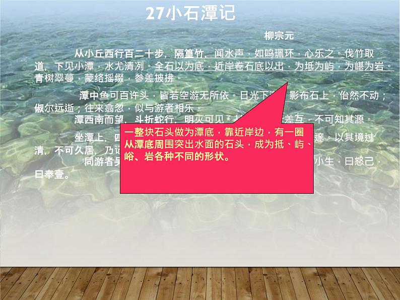 八年级下册语文课件《小石潭记》  人教版（2016部编版） (3)第7页