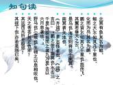 八年级下册语文课件《庄子二则 北冥有鱼》  人教版（2016部编版） (3)