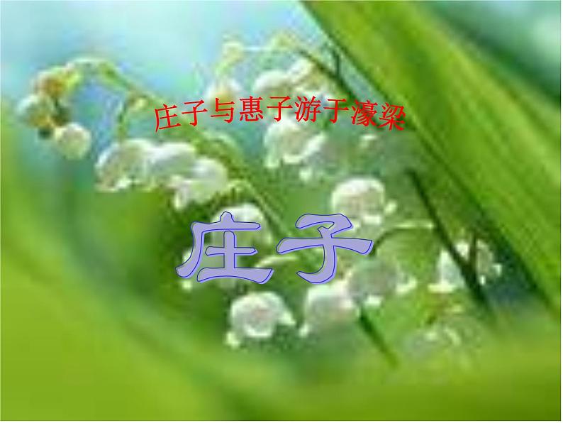 八年级下册语文课件《庄子二则 庄子与惠子游于濠梁》 人教版（2016部编版） (5)01