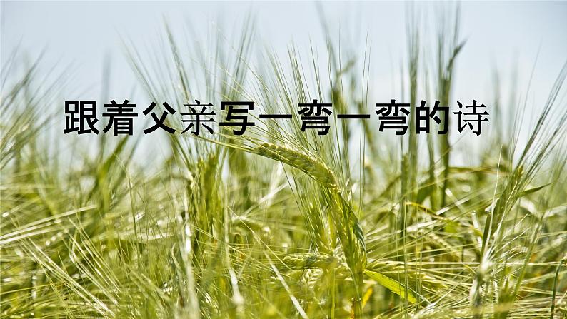 八年级下语文课件《灯笼》课后检测精品课件_人教版（2016部编版）第6页