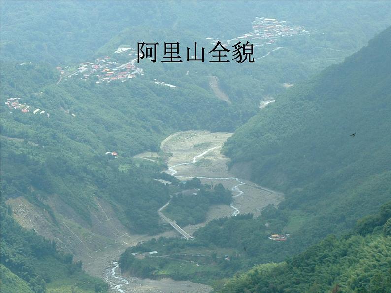 八年级上语文课件《阿里山纪行》 (12)_苏教版（2016）第2页
