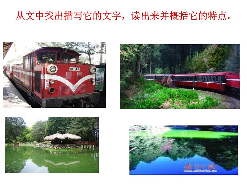 八年级上语文课件《阿里山纪行》 (4)_苏教版（2016）第4页