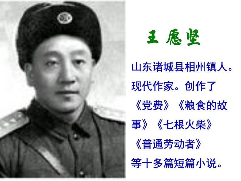 八年级上语文课件《草》 (2)_苏教版（2016）第5页