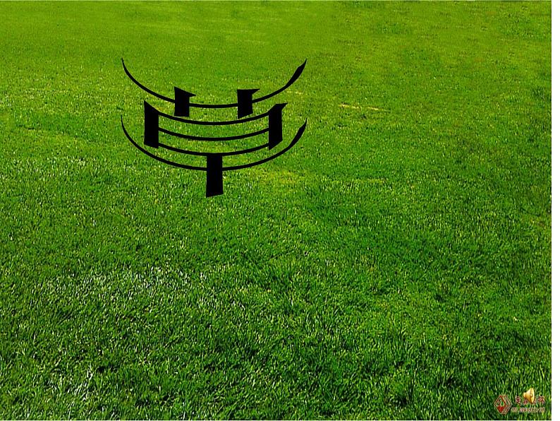 八年级上语文课件《草》 (5)_苏教版（2016）第1页