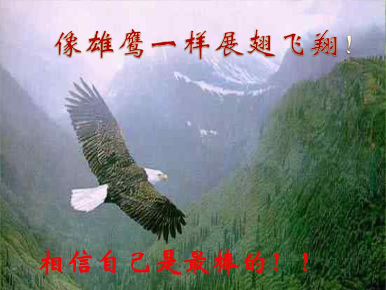 八年级上语文课件《春望》  (8)_苏教版（2016）第1页