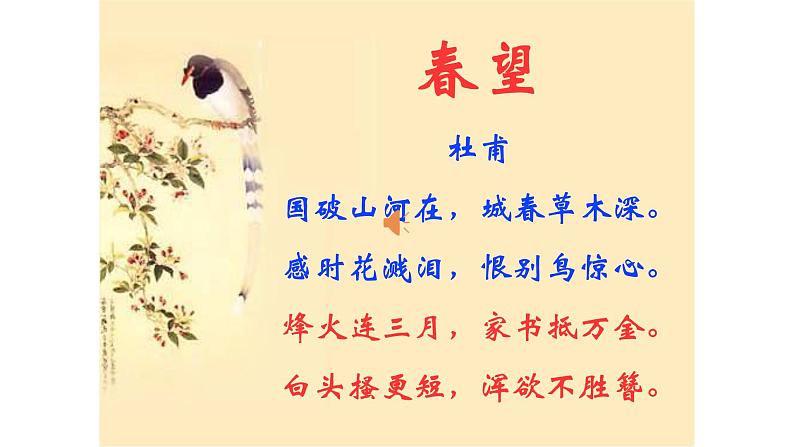 八年级上语文课件《春望》  (12)_苏教版（2016）第4页