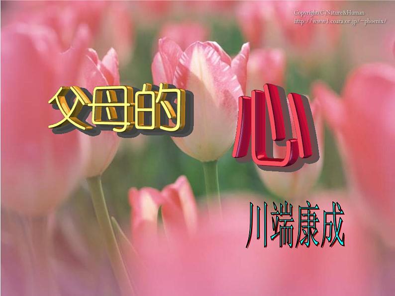 八年级上语文课件《父母的心》  (9)_苏教版（2016）第1页