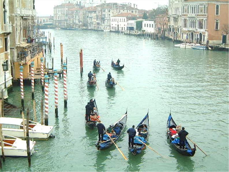 八年级上语文课件《蓝蓝的威尼斯》 (5)_苏教版（2016）第8页