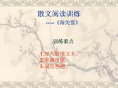 八年级上语文课件《阳关雪》  (10)_苏教版（2016）