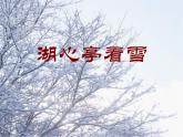 八年级上语文课件《湖心亭看雪》 (2)_苏教版（2016）