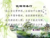 八年级上语文课件《钱塘湖春行》 (16)_苏教版（2016）