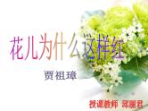 八年级下语文课件《花儿为什么这样红》 (18)_苏教版（2016）