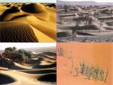 八年级下语文课件《沙漠里的奇怪现象》 (4)_苏教版（2016）