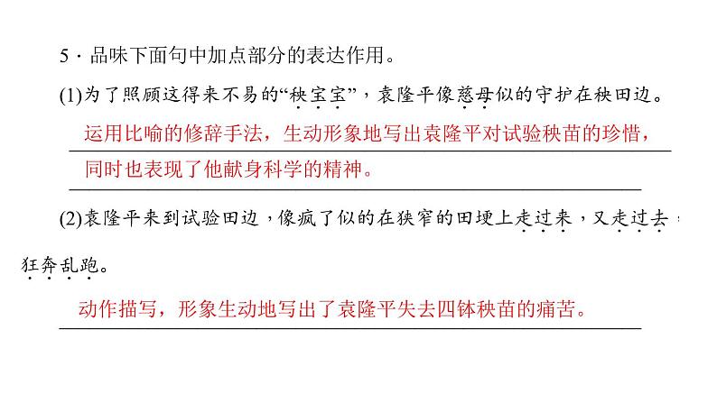 （语文版）八年级语文上册第三单元11杂交水稻之父——袁隆平习题课件07