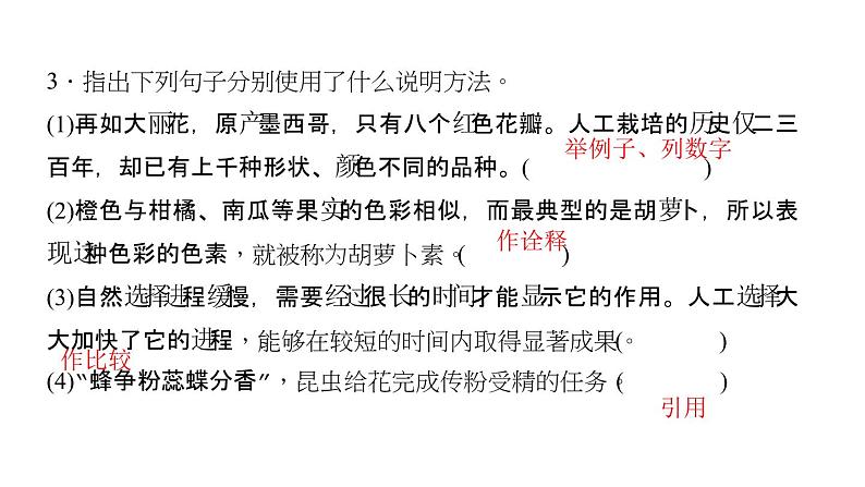 （语文版）八年级语文上册第四单元14花儿为什么这样红习题课件第5页