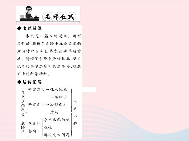 八年级语文上册第二单元8杂交水稻之父——袁隆平习题课件（新版）语文版第4页