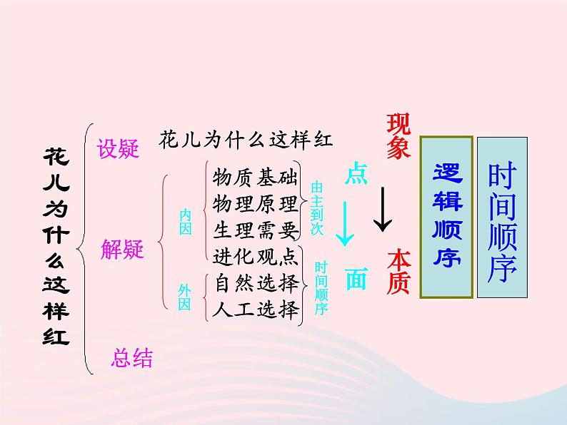 八年级语文上册第五单元第17课《花儿为什么这样红》课件（新版）语文版03