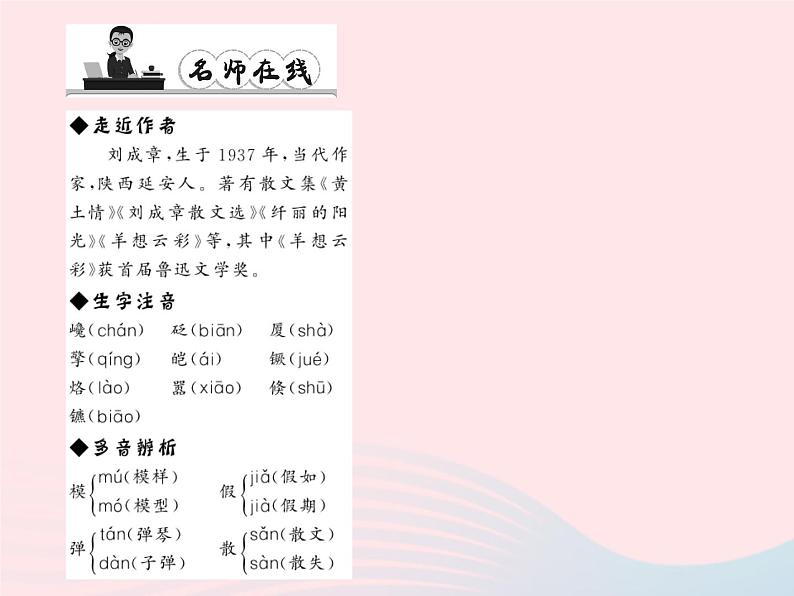 八年级语文上册第一单元4走进纽约习题课件（新版）语文版第2页