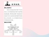 八年级语文上册第五单元17花儿为什么这样红习题课件（新版）语文版