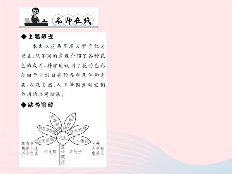 八年级语文上册第五单元17花儿为什么这样红习题课件（新版）语文版第4页