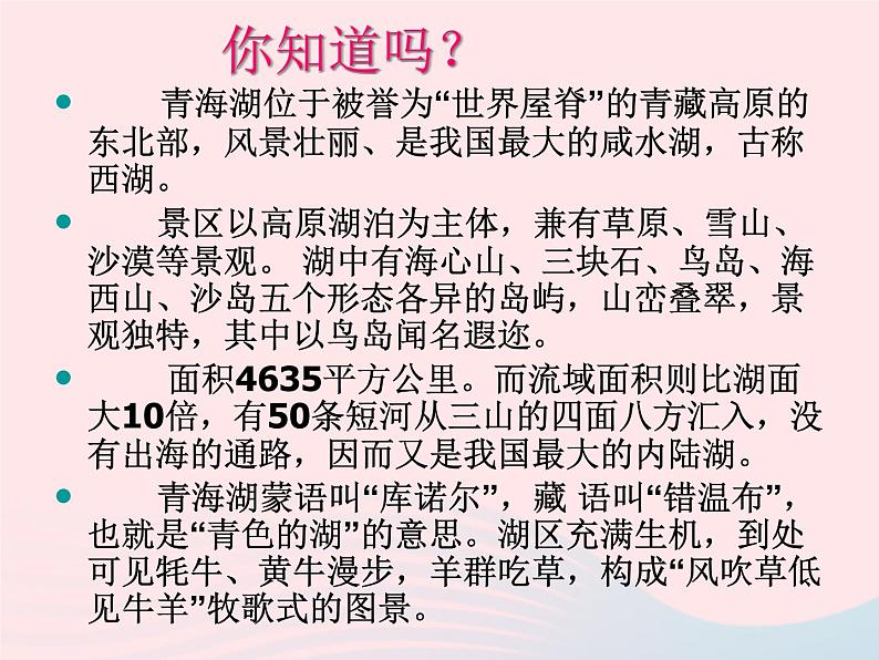 八年级语文上册第一单元第3课《青海湖，梦幻般的湖》课件（新版）语文版第8页