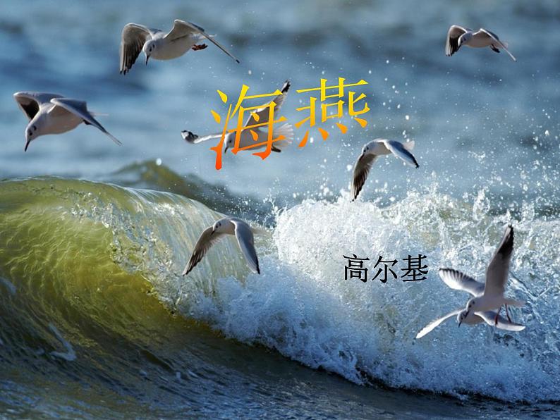 八年级上语文课件海燕 (1)_鲁教版第1页